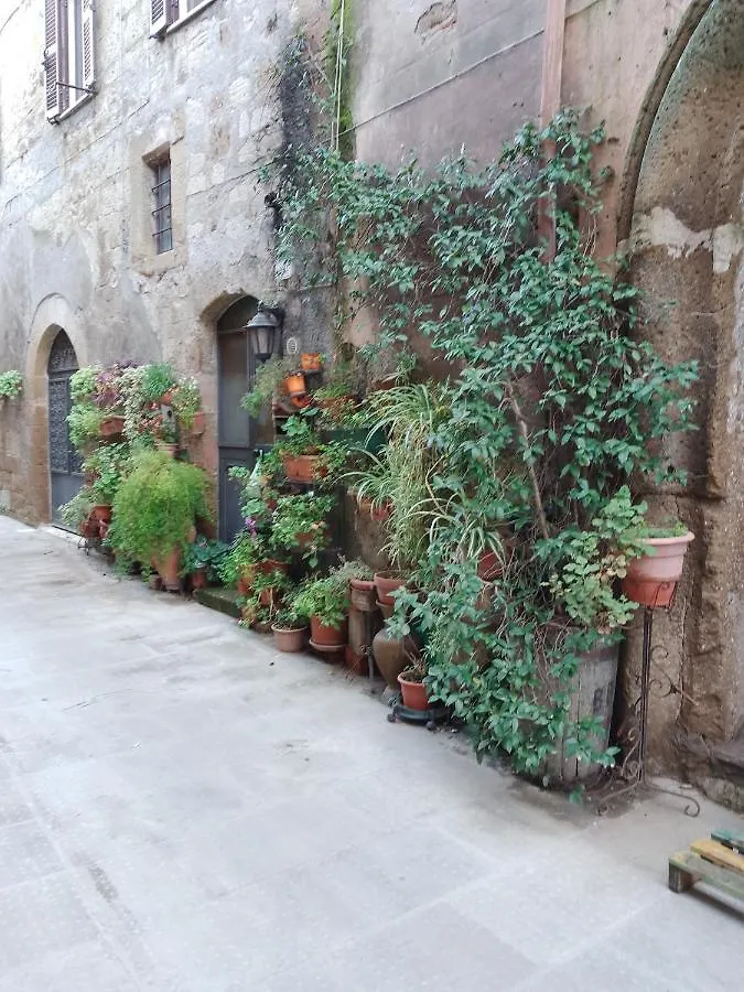 La Casa Di Sally Pitigliano Holiday home